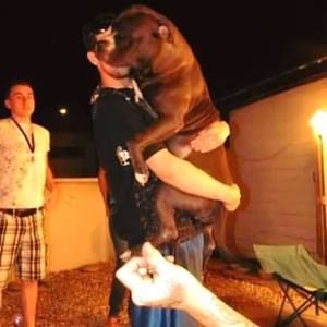 Meet your Posher, Robert